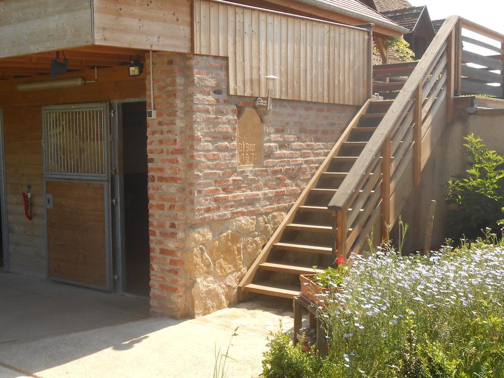 Gîte du Rotenberg Bergheim Extérieur photo
